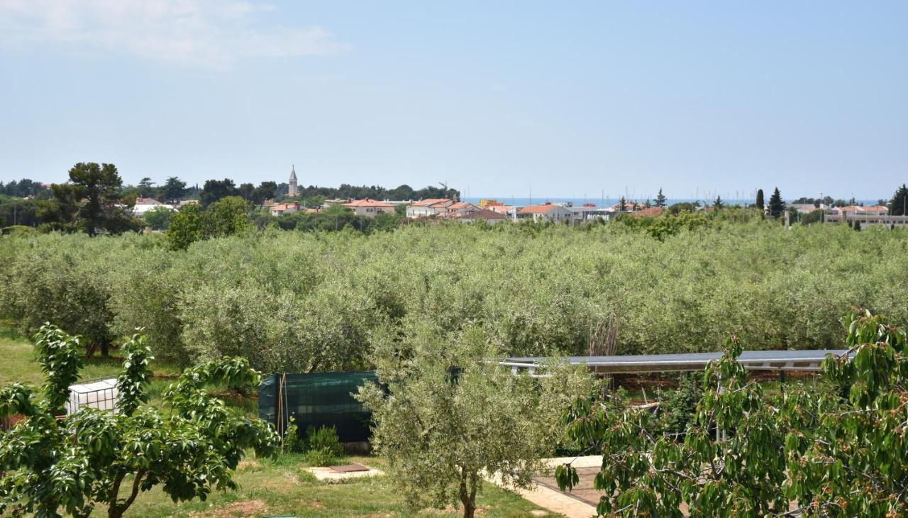 Apartmani Diana Novigrad (Istria) Exterior foto