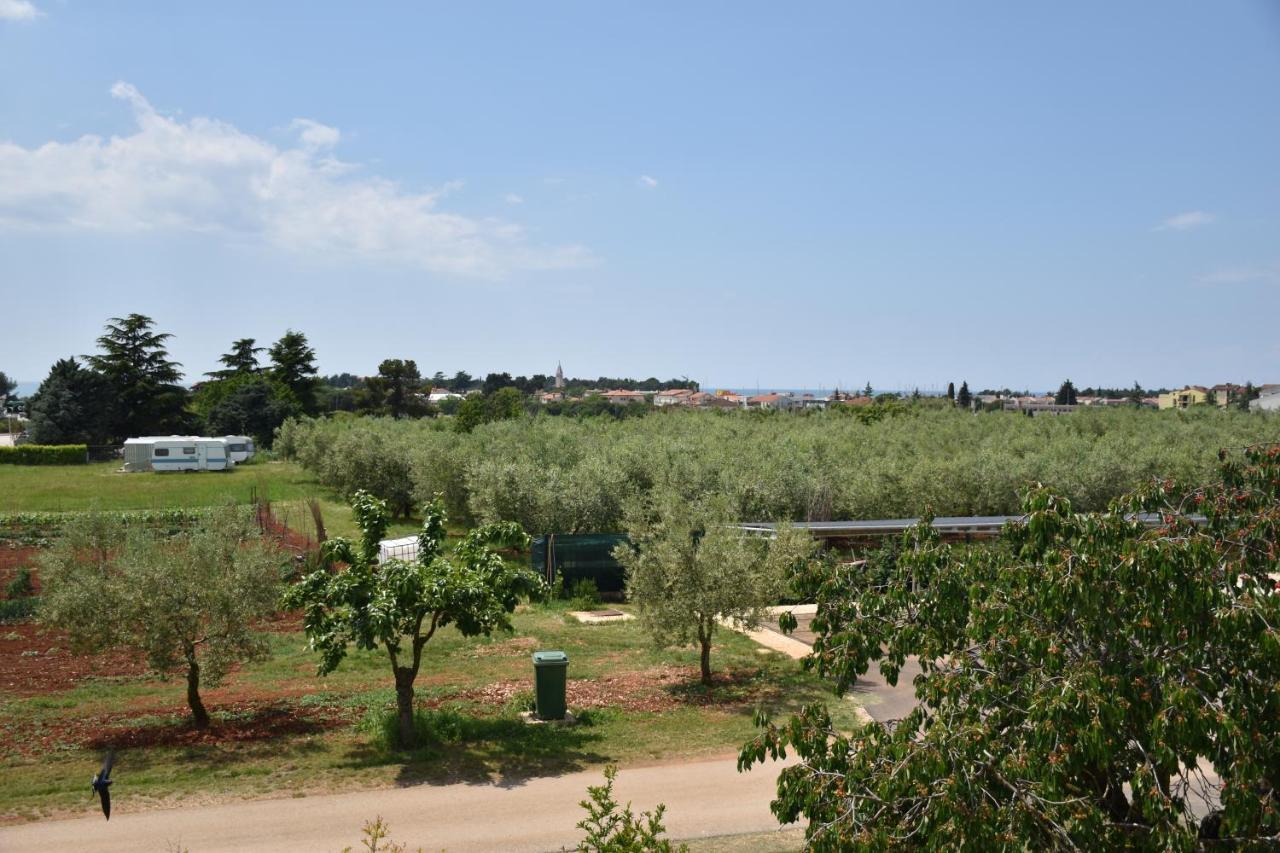Apartmani Diana Novigrad (Istria) Exterior foto
